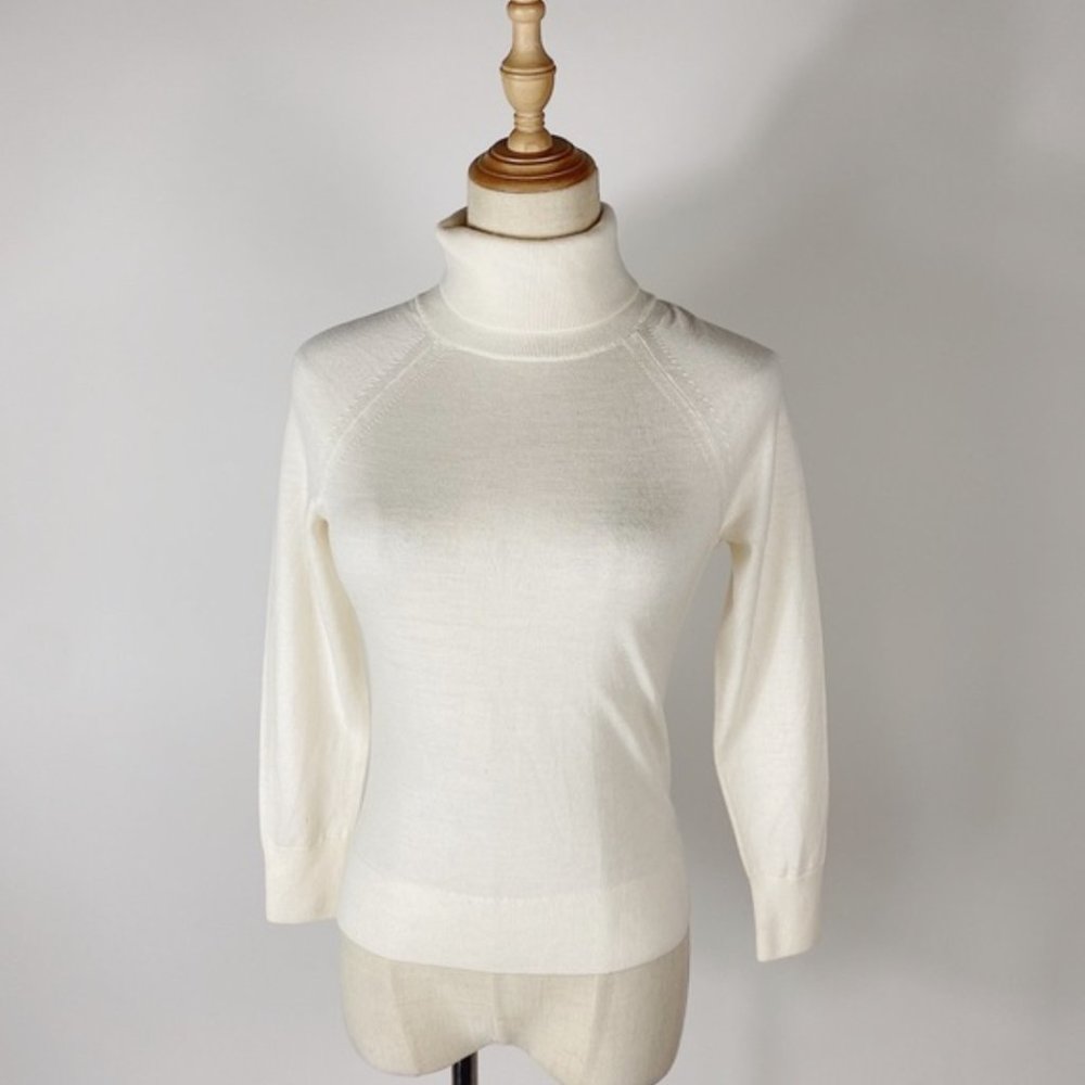 NWT Banana Republic Eco Merino Turtleneck Sweater